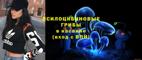2c-b Надым