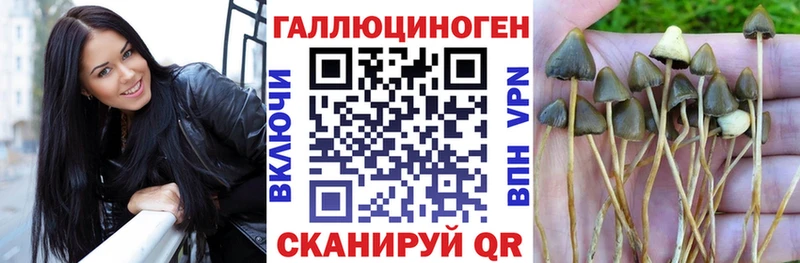 Галлюциногенные грибы Psilocybe  Подольск 