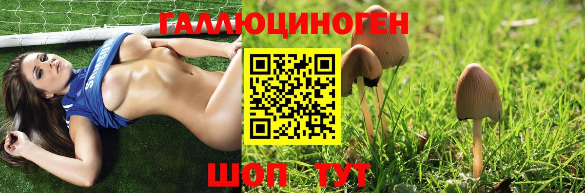 Псилоцибиновые грибы GOLDEN TEACHER  Вход с VPN  дарнет шоп  Подольск 